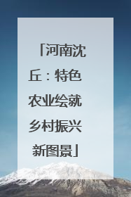 河南沈丘：特色农业绘就乡村振兴新图景