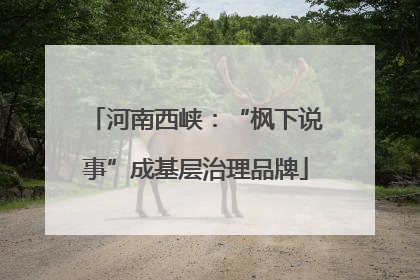 河南西峡：“枫下说事”成基层治理品牌
