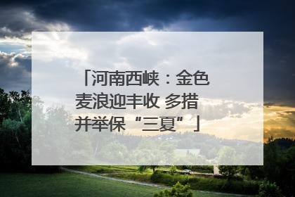 河南西峡：金色麦浪迎丰收 多措并举保“三夏”