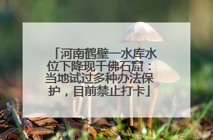 河南鹤壁一水库水位下降现千佛石窟：当地试过多种办法保护，目前禁止打卡