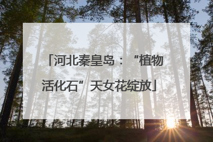 河北秦皇岛：“植物活化石”天女花绽放