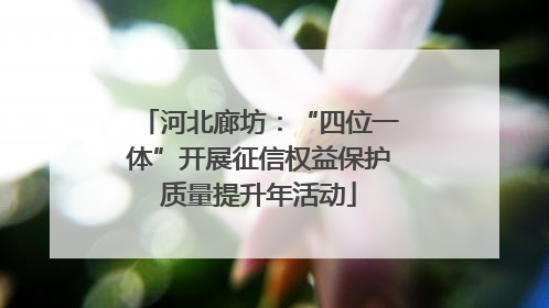 河北廊坊：“四位一体”开展征信权益保护质量提升年活动