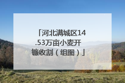 河北满城区14.53万亩小麦开镰收割（组图）