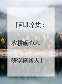 河北辛集：农耕砺心志 研学育新人