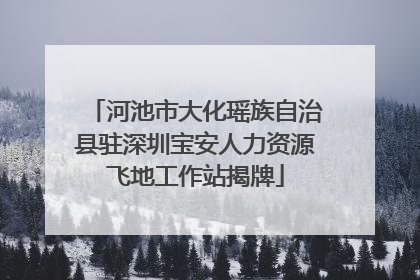 河池市大化瑶族自治县驻深圳宝安人力资源飞地工作站揭牌