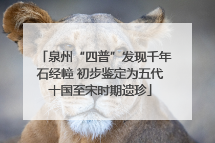 泉州“四普”发现千年石经幢 初步鉴定为五代十国至宋时期遗珍