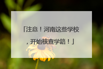 注意！河南这些学校，开始核查学籍！