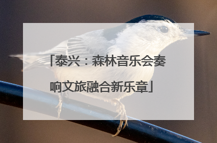泰兴：森林音乐会奏响文旅融合新乐章