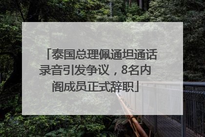 泰国总理佩通坦通话录音引发争议，8名内阁成员正式辞职
