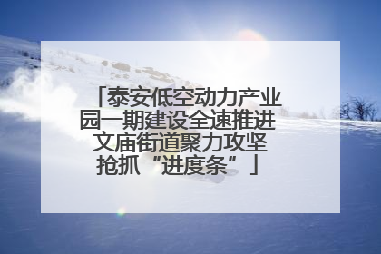 泰安低空动力产业园一期建设全速推进 文庙街道聚力攻坚抢抓“进度条”