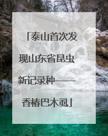 泰山首次发现山东省昆虫新记录种——香椿巴木虱