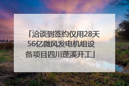 洽谈到签约仅用28天 56亿微风发电机组设备项目四川蓬溪开工