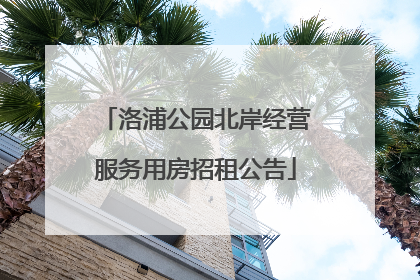 洛浦公园北岸经营服务用房招租公告
