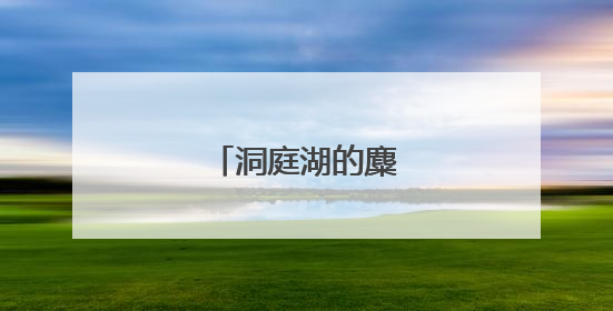 洞庭湖的麋鹿，最野！