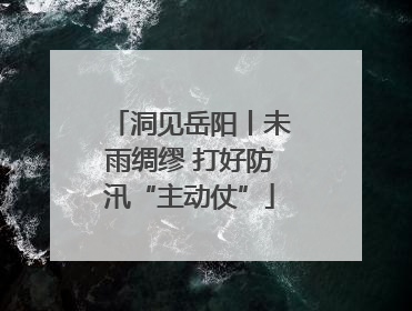洞见岳阳丨未雨绸缪 打好防汛“主动仗”