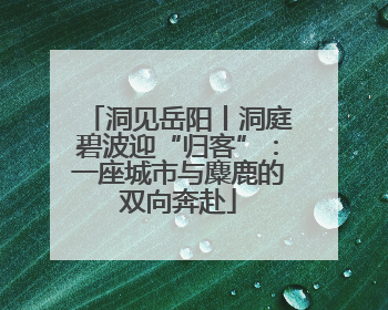 洞见岳阳丨洞庭碧波迎“归客”：一座城市与麋鹿的双向奔赴