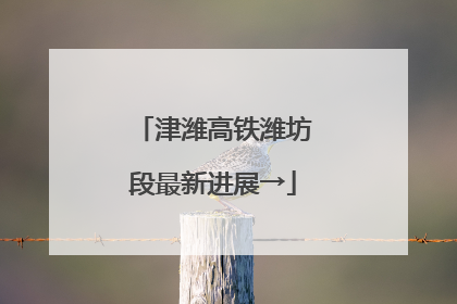 津潍高铁潍坊段最新进展→