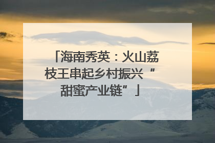 海南秀英：火山荔枝王串起乡村振兴“甜蜜产业链”