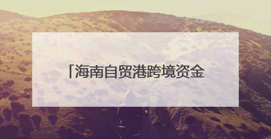 海南自贸港跨境资金“活水”双向奔涌