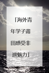 海外青年学子莆田感受非遗魅力