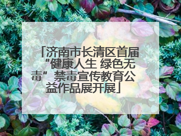 济南市长清区首届“健康人生 绿色无毒”禁毒宣传教育公益作品展开展