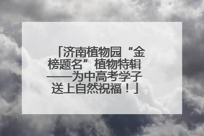 济南植物园“金榜题名”植物特辑——为中高考学子送上自然祝福！