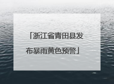浙江省青田县发布暴雨黄色预警