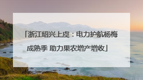 浙江绍兴上虞：电力护航杨梅成熟季 助力果农增产增收