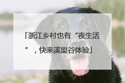 浙江乡村也有“夜生活”，快来溪望谷体验