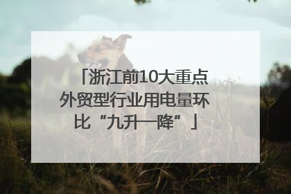浙江前10大重点外贸型行业用电量环比“九升一降”