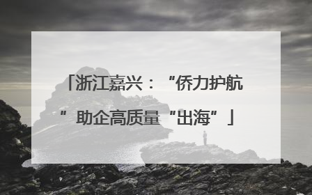 浙江嘉兴：“侨力护航”助企高质量“出海”