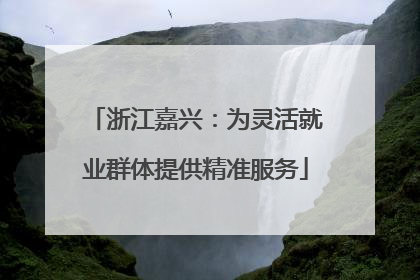 浙江嘉兴：为灵活就业群体提供精准服务