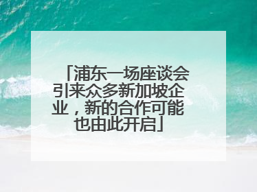 浦东一场座谈会引来众多新加坡企业，新的合作可能也由此开启