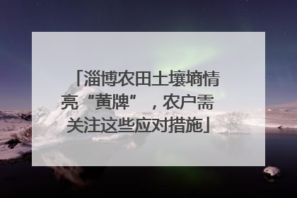 淄博农田土壤墒情亮“黄牌”，农户需关注这些应对措施