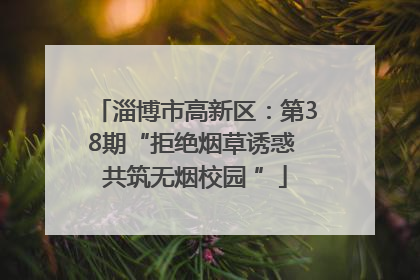 淄博市高新区：第38期“拒绝烟草诱惑 共筑无烟校园 ”