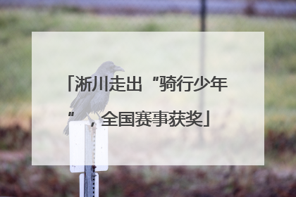 淅川走出“骑行少年”，全国赛事获奖