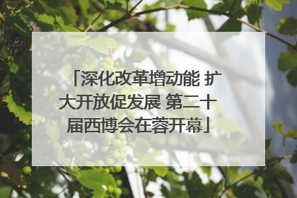 深化改革增动能 扩大开放促发展 第二十届西博会在蓉开幕