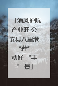 清风护航产业旺 公安县八里港 “莲” 动好 “丰” 景