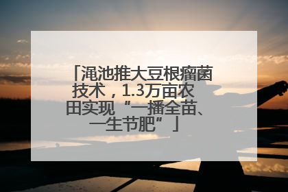 渑池推大豆根瘤菌技术，1.3万亩农田实现“一播全苗、一生节肥”