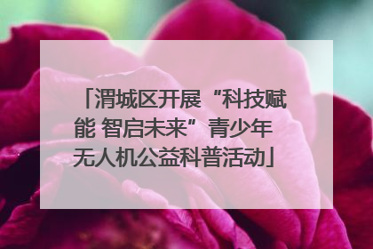 渭城区开展“科技赋能 智启未来”青少年无人机公益科普活动