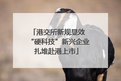 港交所新规显效 “硬科技”新兴企业扎堆赴港上市