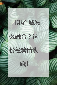港产城怎么融合？这份经验请收藏