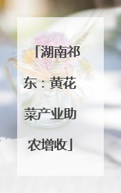 湖南祁东：黄花菜产业助农增收