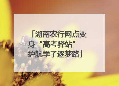 湖南农行网点变身“高考驿站” 护航学子逐梦路