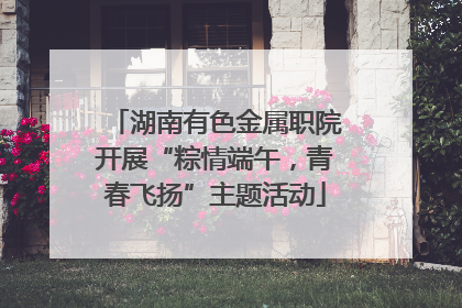 湖南有色金属职院开展“粽情端午，青春飞扬”主题活动