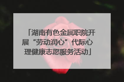 湖南有色金属职院开展“劳动润心”代际心理健康志愿服务活动