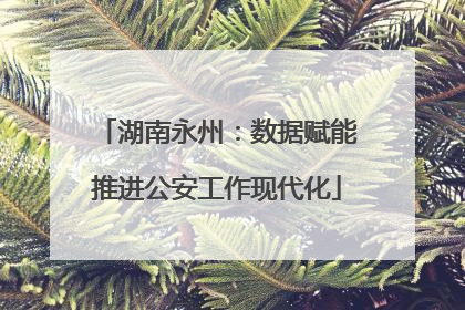 湖南永州：数据赋能推进公安工作现代化
