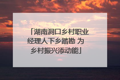 湖南洞口乡村职业经理人下乡踏勘 为乡村振兴添动能