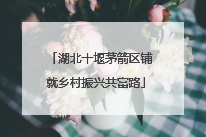 湖北十堰茅箭区铺就乡村振兴共富路