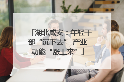 湖北咸安：年轻干部“沉下去” 产业动能“涨上来”